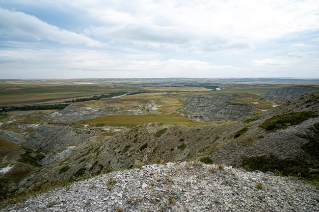 overview of landscape