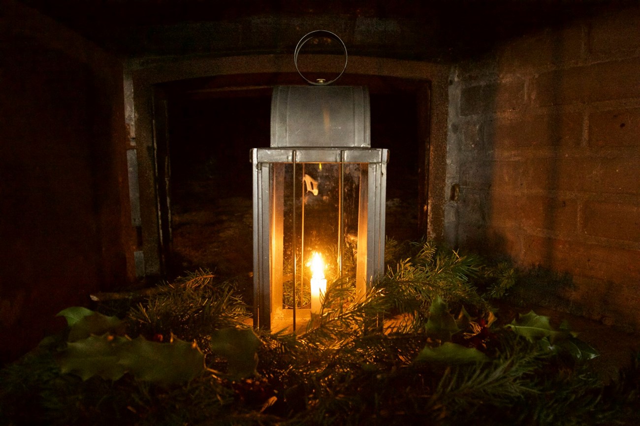Lantern surrounded by greenery