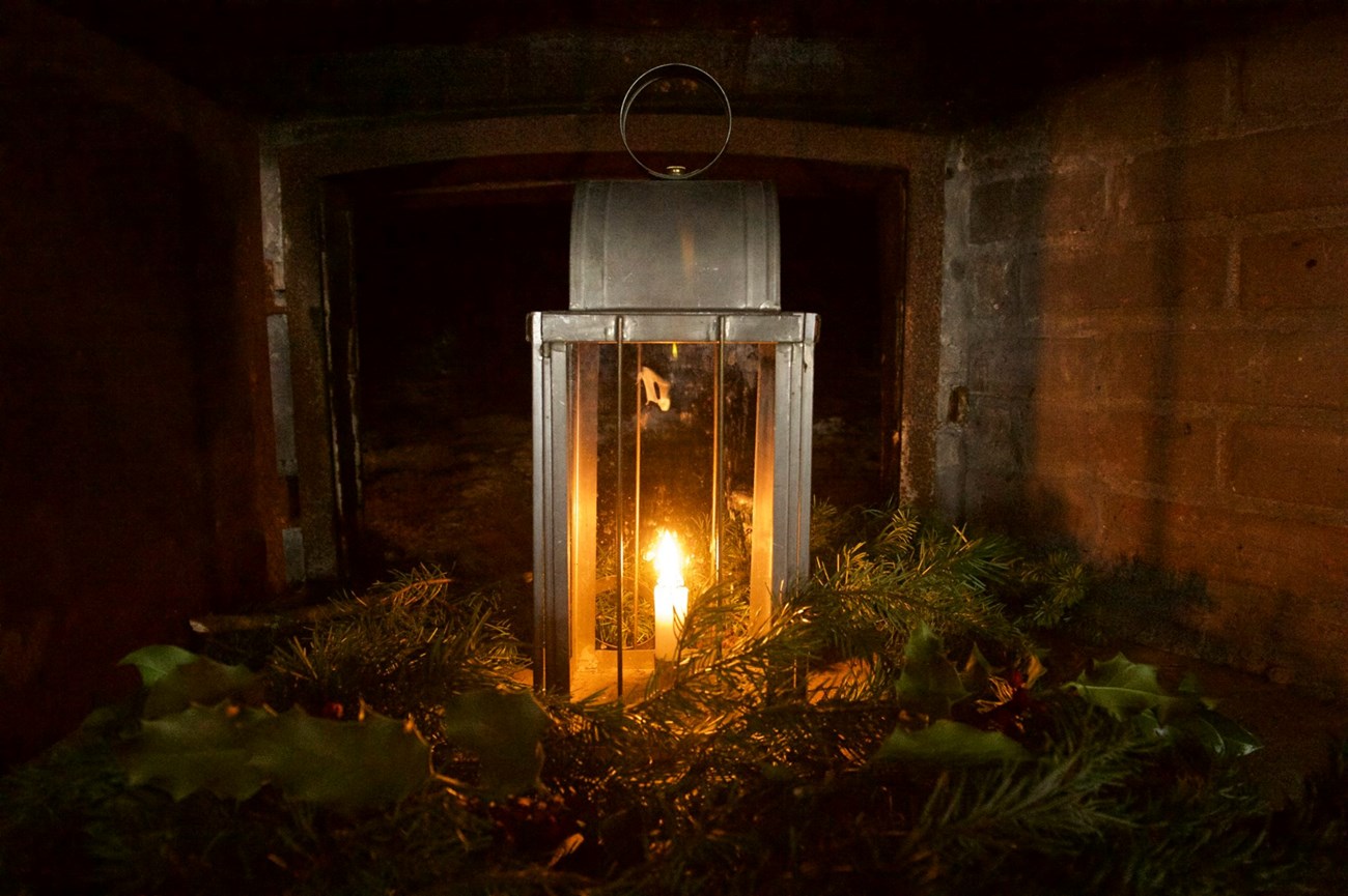 Lantern Lantern surrounded by greenery