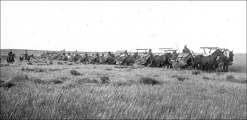 Men on horses in a field.