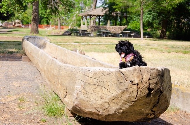 10SSP Toy dog on canoe