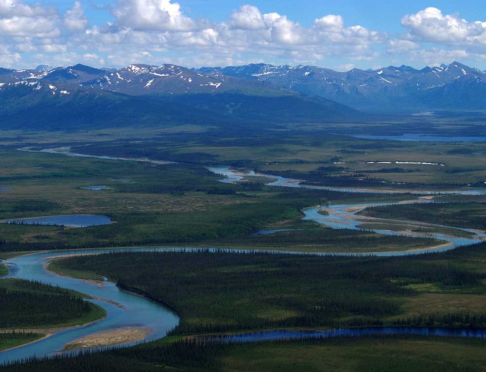 An aerial view of a serpentine stream through boreal forest and tundra.