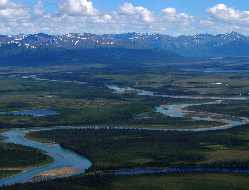 11-cover sm An aerial view of a serpentine stream through boreal forest and tundra.