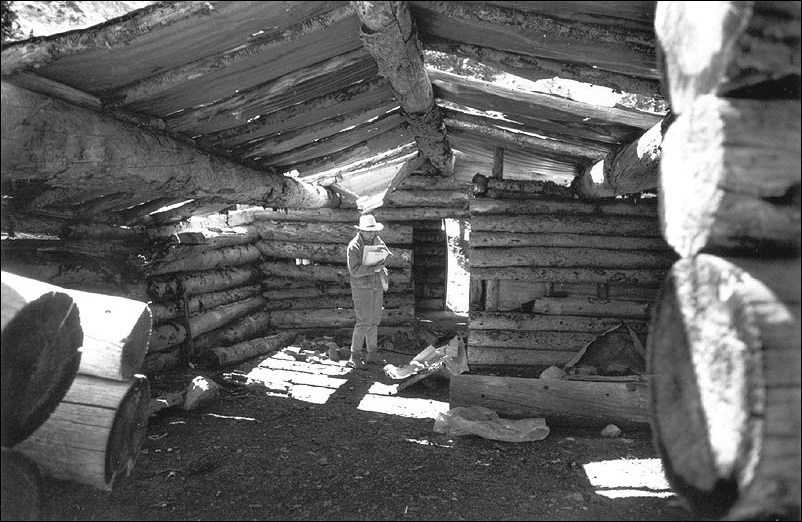 Man standing inside a log cabin. (National Park Service, Western Archeological and Conservation Center Photo)