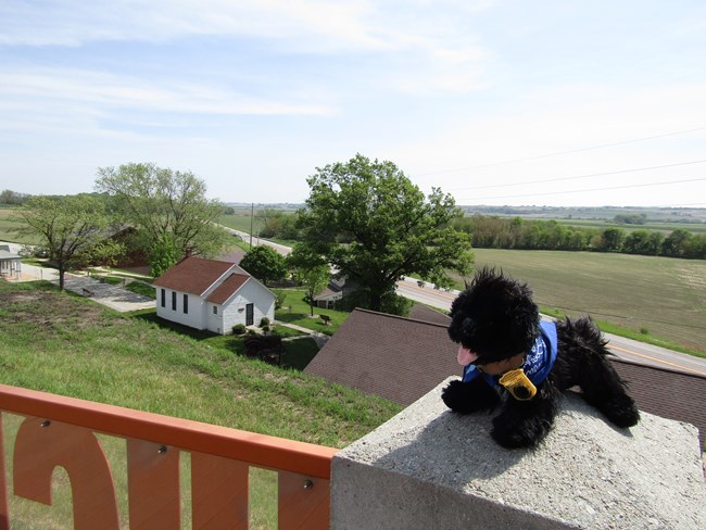 Stuffed pup overlooking river