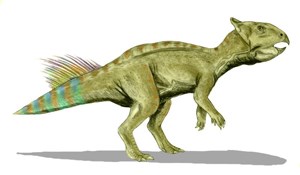 illustration of a ceratopsian dinosaur