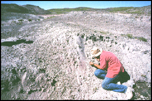 Jack Horner at Egg Mountain A paleontologist excavating fossil eggs