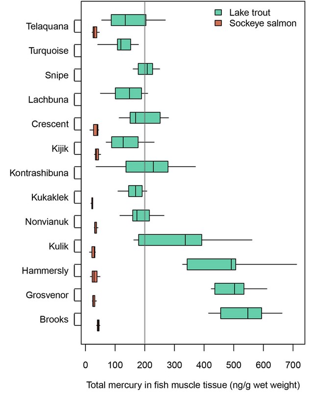 A graph showing the levels of mercury in each sampled lake.