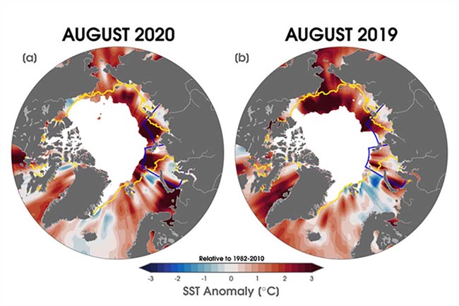 1232ARC20_SST_timmermans_Fig2_web Heat map of pan-Arctic sea surface temperature anolmaly.