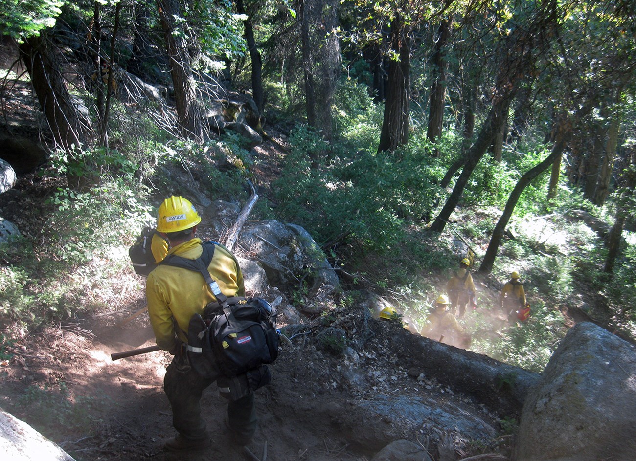 A firefighter stands on a fireline on a steep hill with other firefighters below.