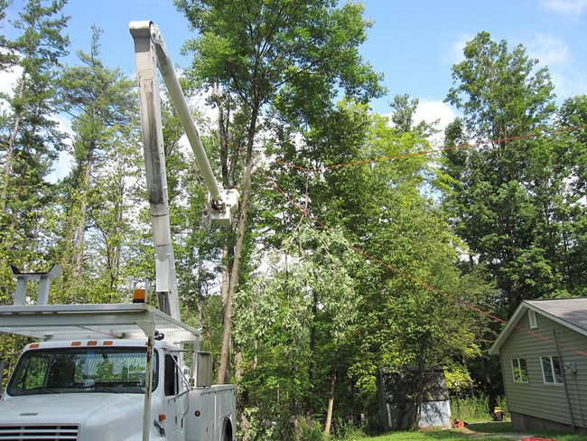 A worker is perched in a tree harness above a trunk he is dismantling.