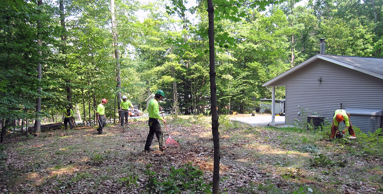 Workers use rakes and chainsaws to clear vegetation near a structure.