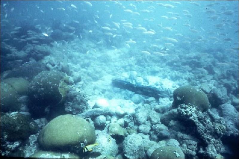 Remains of shipwreck on sea floor.