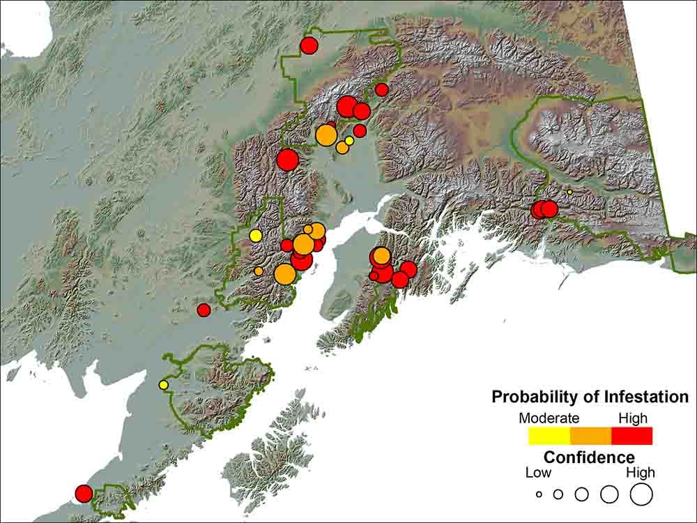 A map of southcentral Alaska showing the probability of infestation of lakes in parks.