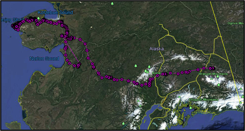 Golden Eagle 1502 overview movements Map of Golden Eagle 1502 locations moving westward from Mentasta Mountains in Wrangell-St. Elias NPP across interior Alaska to the Seward Peninsula from 24 March to 1 June 2015.