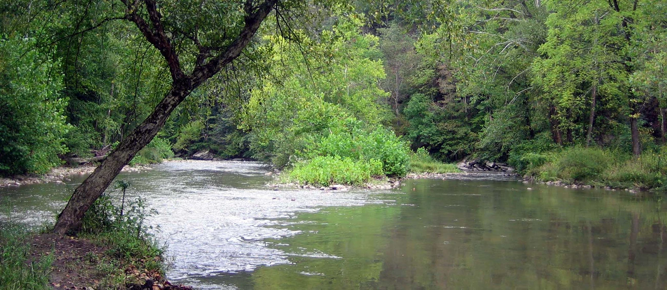 A bend in the Bluestone River as it curves into the distance through some trees. A bend in the Bluestone River as it curves into the distance through some trees.