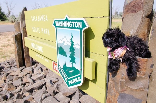 16SSP toy dog near Sacajawea State Park sign