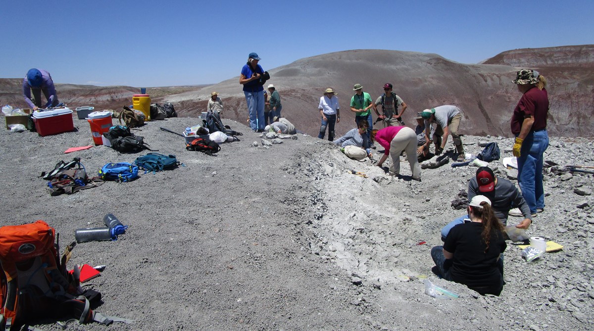 paleontology class digging at fossil site
