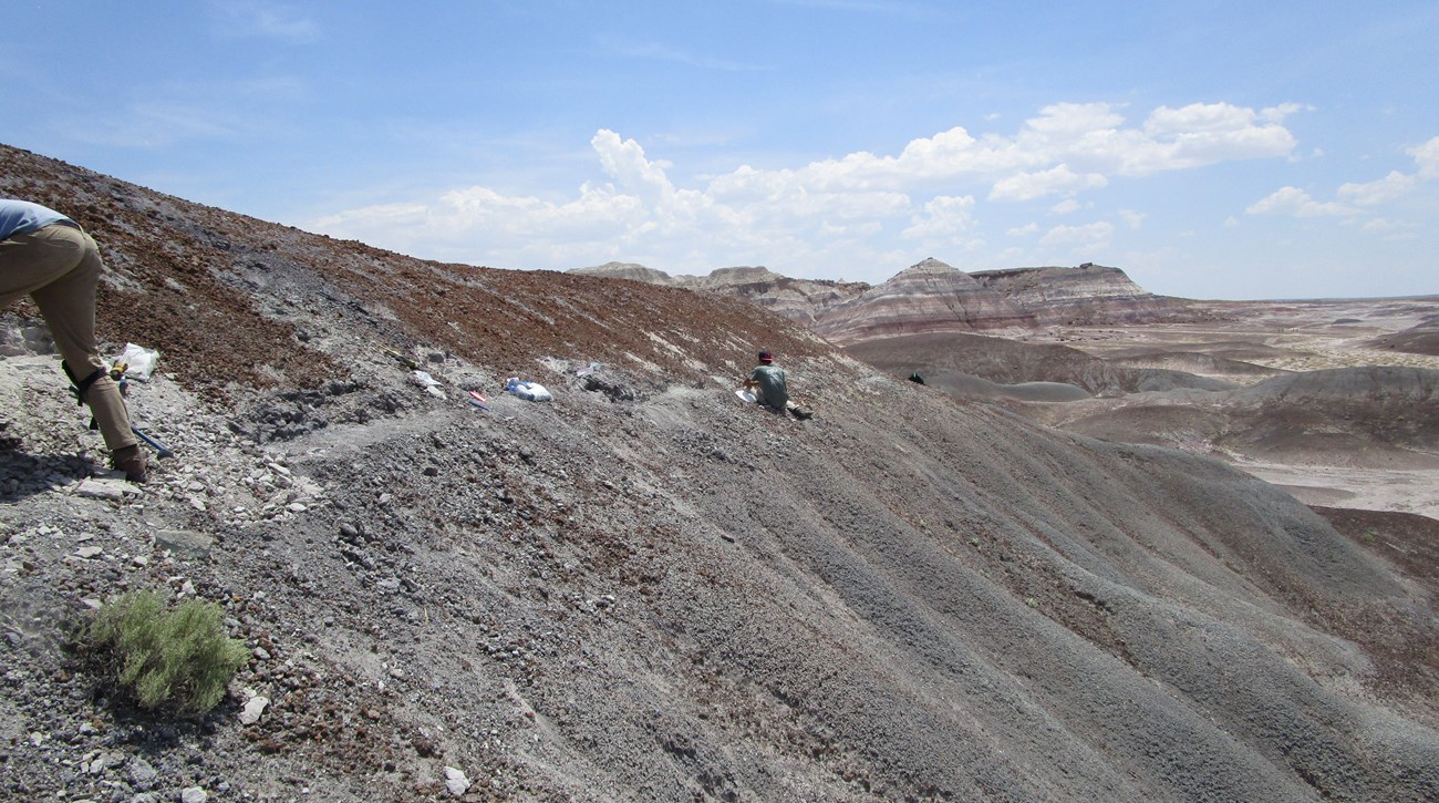 paleontologists collecting samples on steep slope