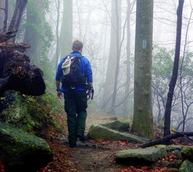 Foot traffic A person hiking in Shenandoah National Park on a foggy day.
