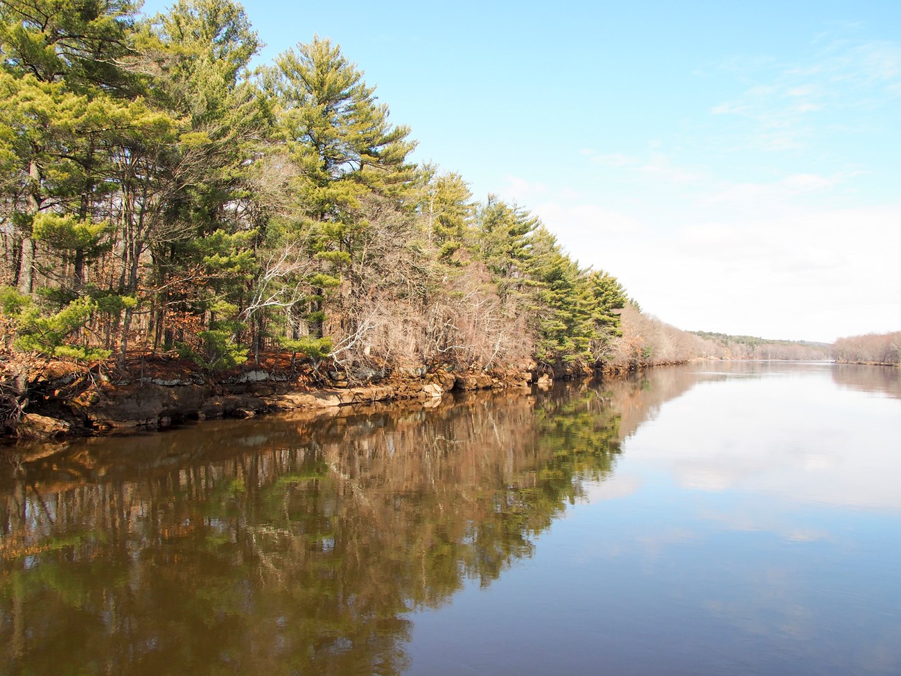 Saint Croix National Scenic Riverway River running along green trees