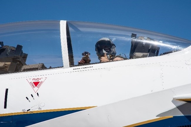 1Sj toy dog in the back of a plane