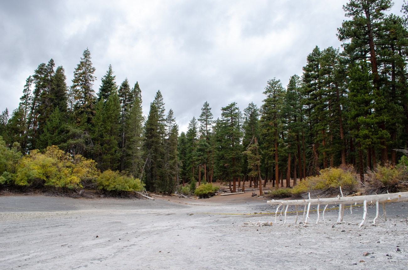 An image of a dry lake bed with tall conifer trees in the background. An image of a dry lake bed with tall conifer trees in the background.