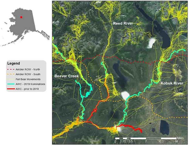 2-Figure1 Map on creeks and bear movements.