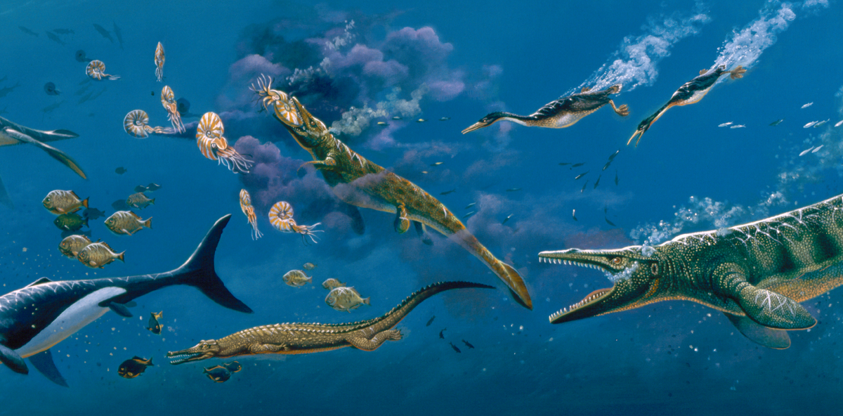 Cretaceous sea mural Cretaceous sea mural