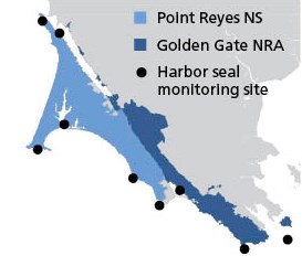 Map showing that harbor seal monitoring occurs in both Point Reyes NS and Golden Gate NRA locations