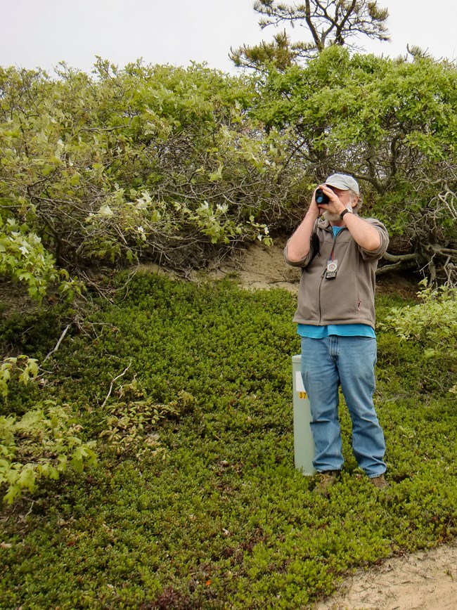a man stands on a sand dune looking through binoculars