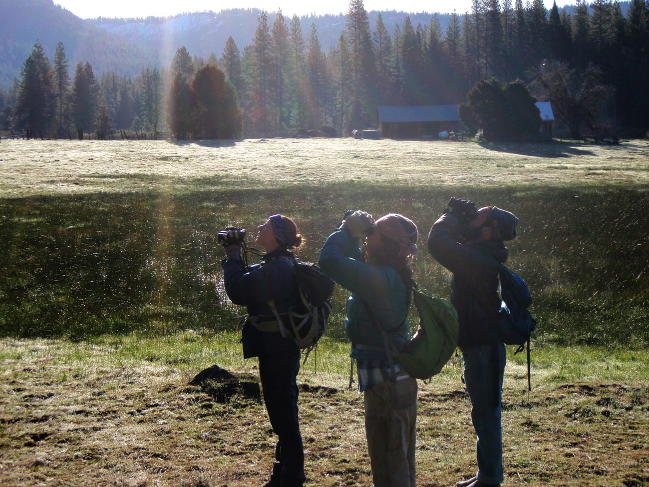 Bird monitoring training session Bird monitoring