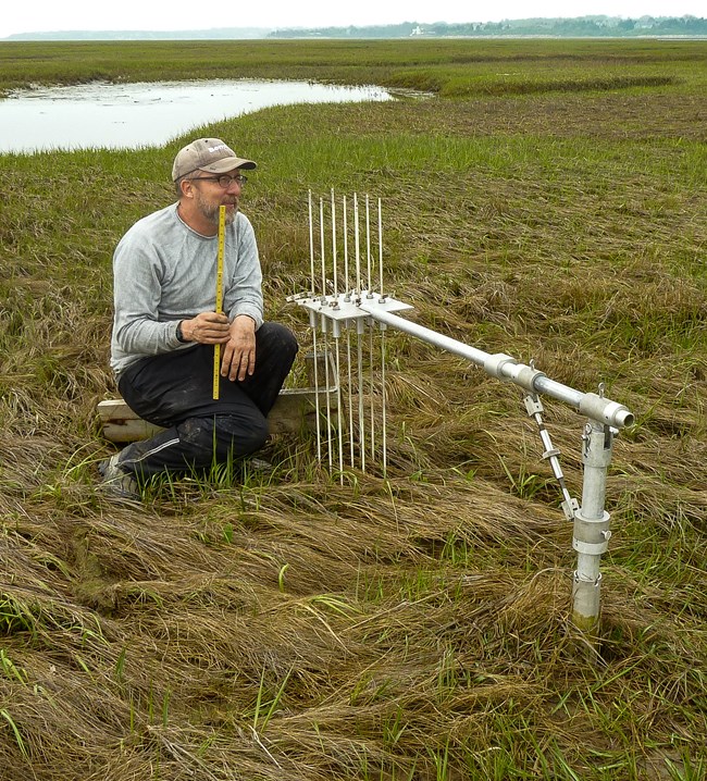 scientist sits on a salt marsh with a ruler and SET equipment