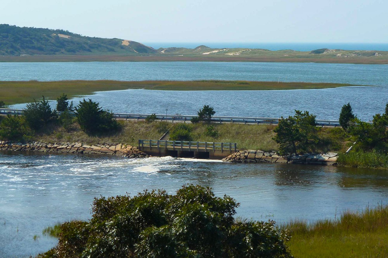 a road cuts across two saltmarshes with water flowing underneath it