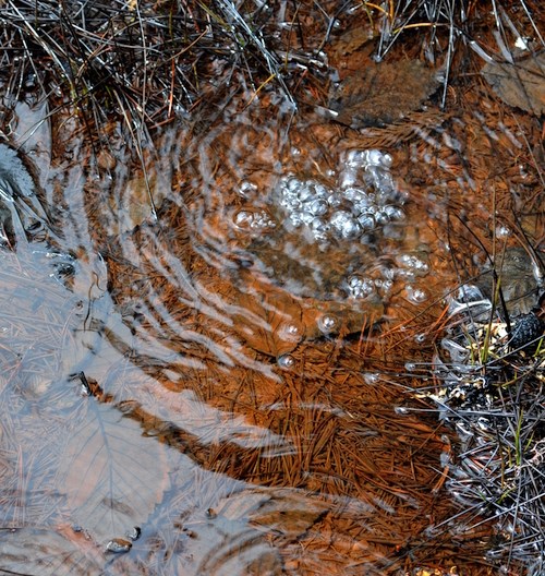 Bubbling mineral spring A pool of water broken by bubbles.