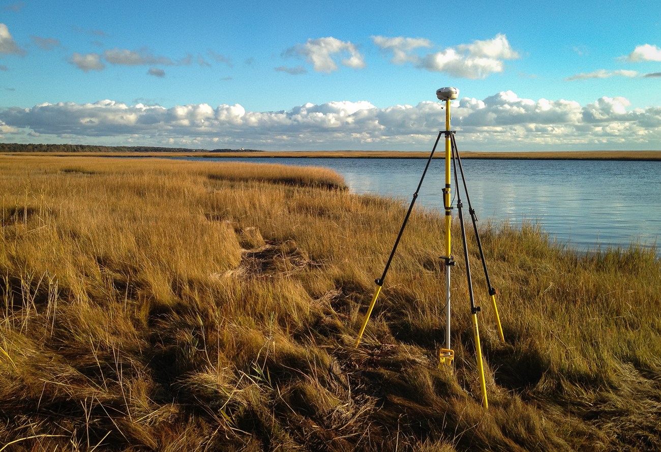 morning sun shines on salt marsh grasses at Cape Cod