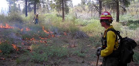 A firefighter monitors a fire in grasses.