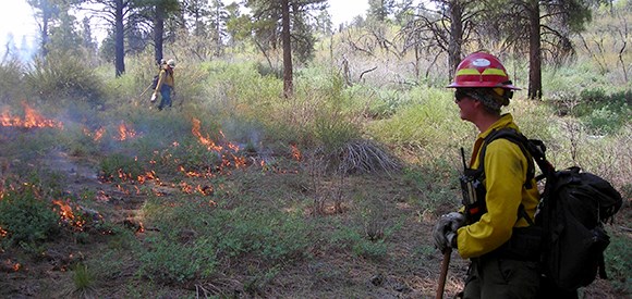 lt= A firefighter monitors a fire in grasses.