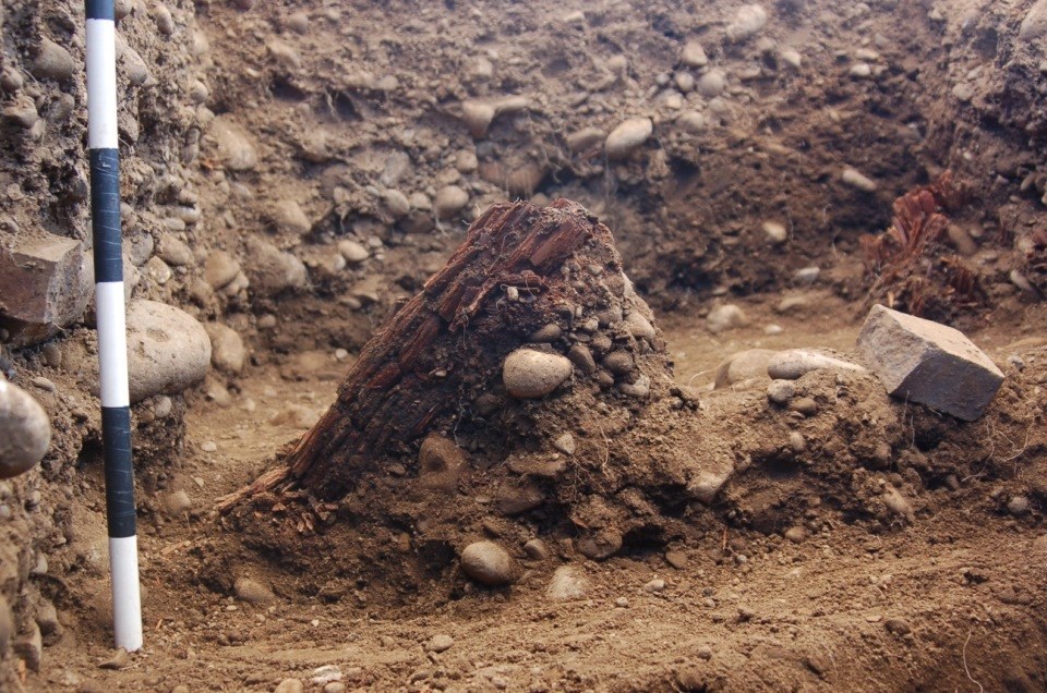 Chunk of wood protrudes from dirt in excavation unit.