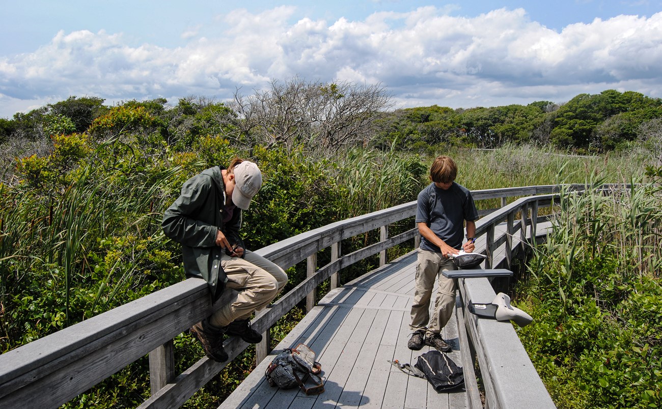 student researchers stand on a boardwalk over marshland at Fire Island National Seashore