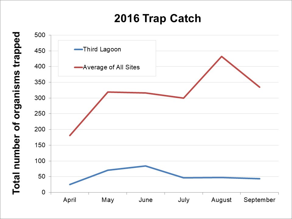 Graph of monthly total catch of all species at Third Lagoon, SJINHP, compared to the average of all 26 Crab Team sites sampled in 2016.