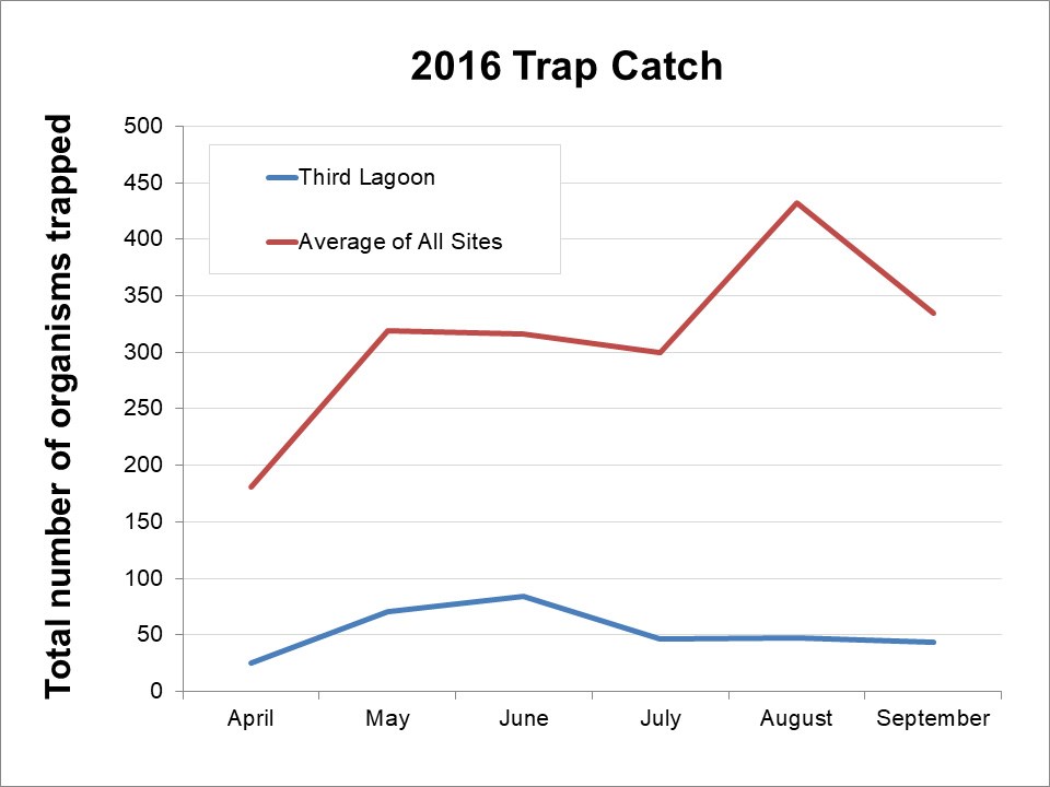 2016 Trap Catch Graph of monthly total catch of all species at Third Lagoon, SJINHP, compared to the average of all 26 Crab Team sites sampled in 2016.