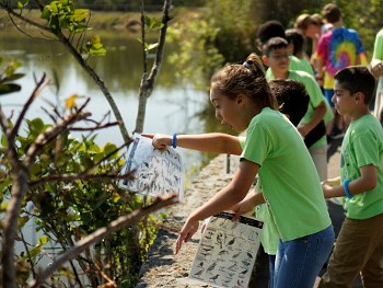 Kids collecting bugs from a march area