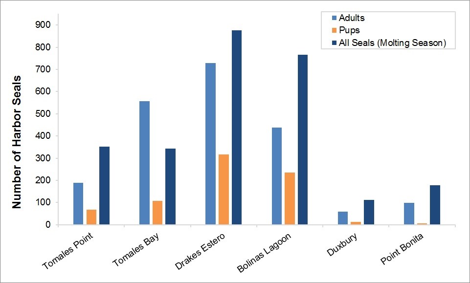 Maximum harbor seal counts by site, where Drakes Estero has the highest number of breeding adults, pups, and molting seals