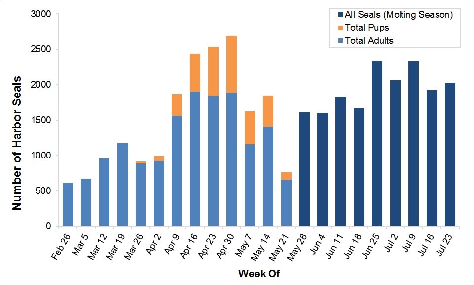 Total Weekly Maximum Harbor Seal Counts Total weekly maximum harbor seal counts, where the maximum count of adults peaks near 2,350 the week of July 2
