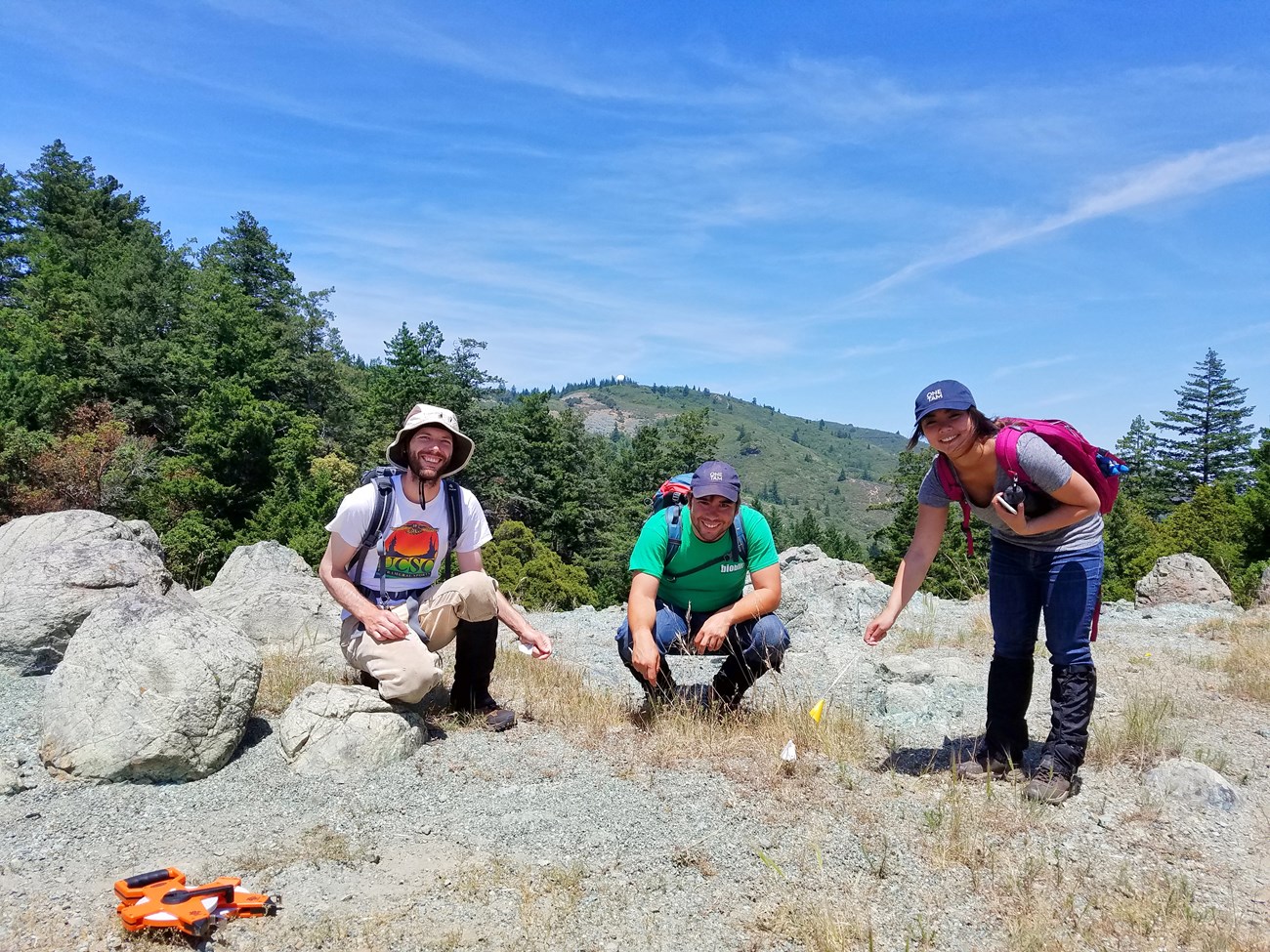 Three people crouching over a sparsely vegetated serpentine barren.