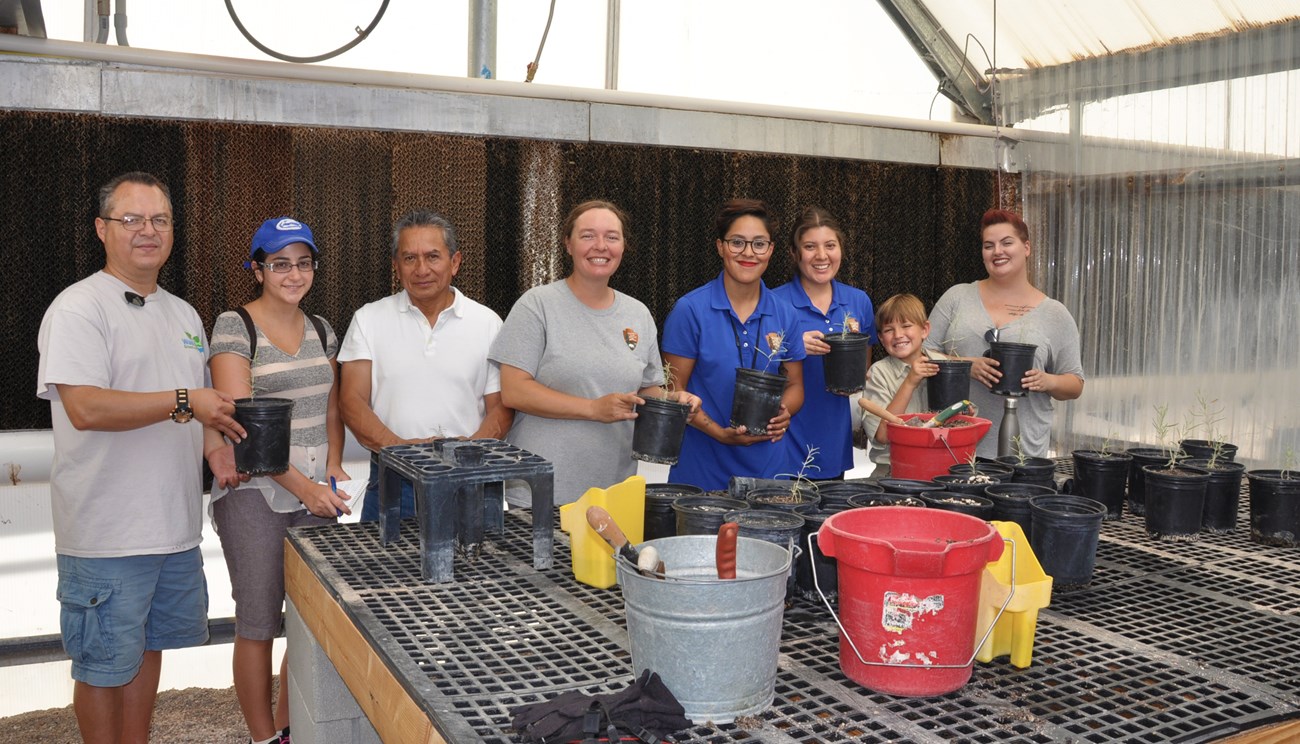 volunteers hold plants at nursery