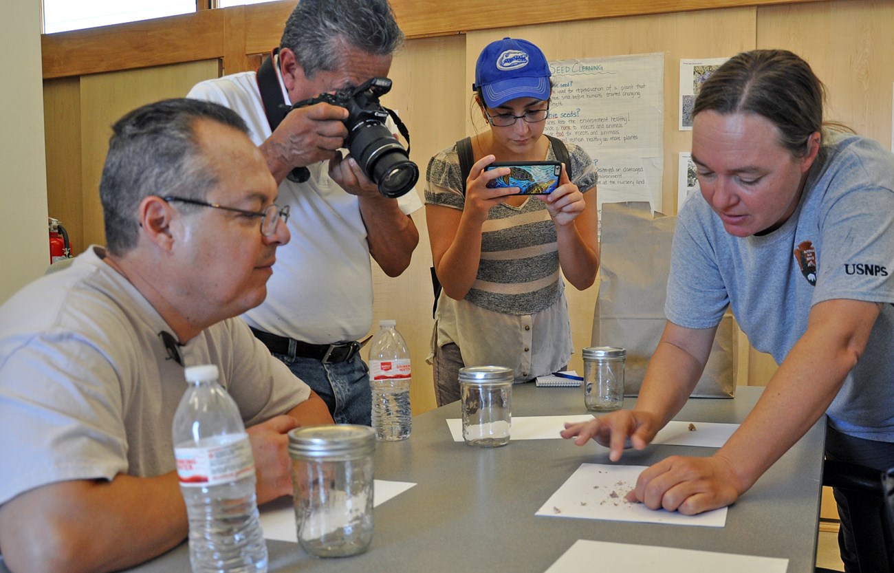 Latino Conservation Week at Lake Mead volunteers clean seeds
