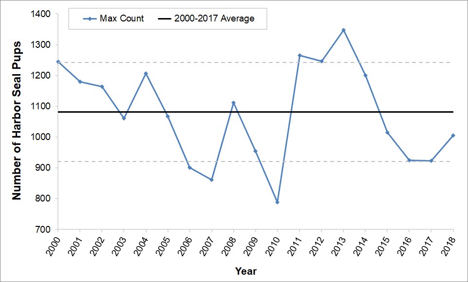 Line graph showing maximum harbor seal pup counts for 2000-2018. Counts have mostly remained within one standard deviation around the mean. The lowest count was in 2010, the highest count was in 2013, and this year's count is right around the mean