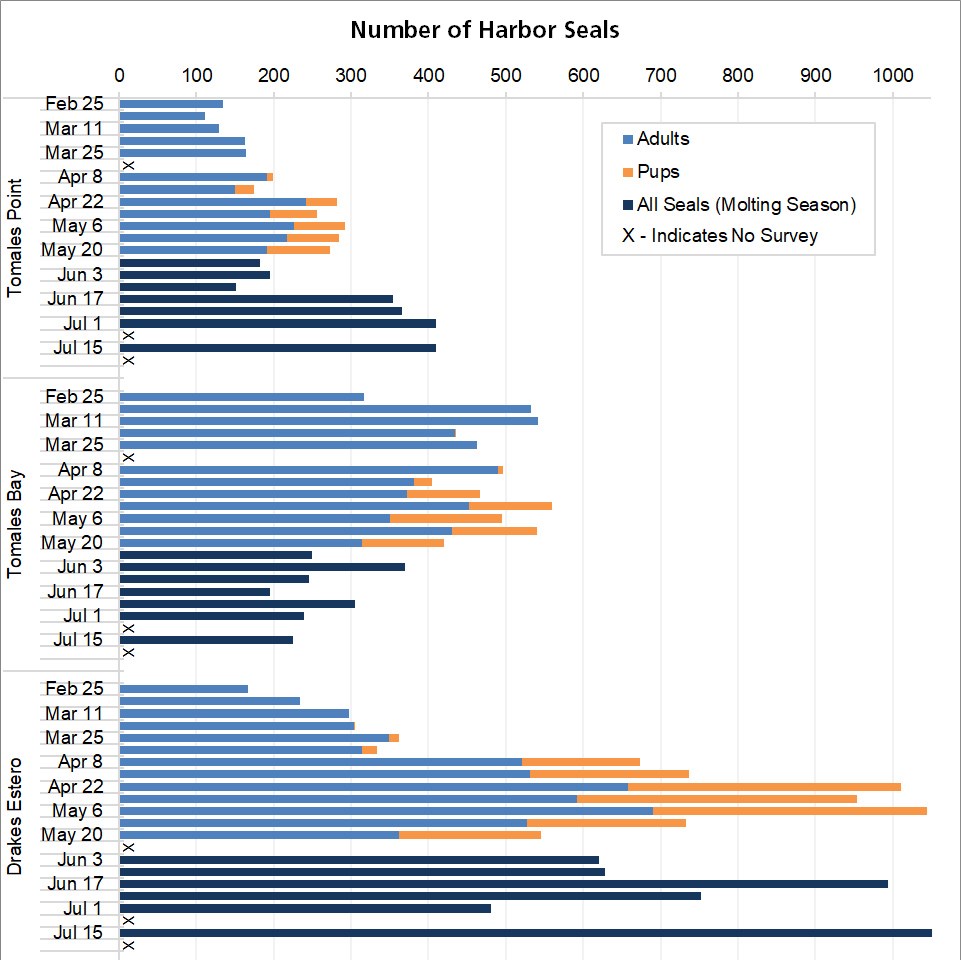 Graph of maximum harbor seal counts by site (Tomales Point, Tomales Bay, Drakes Estero) and survey week from late February through May.